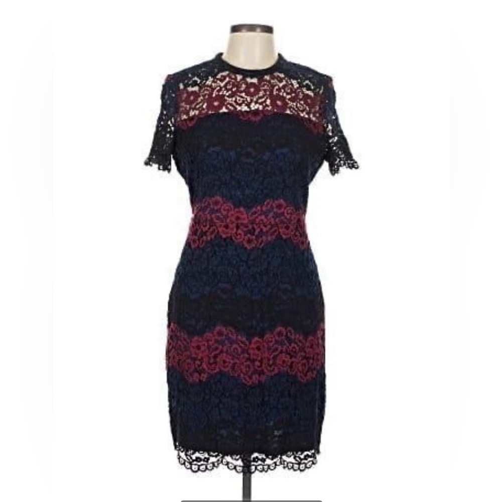 Express Bodycon Lace Mini Dress